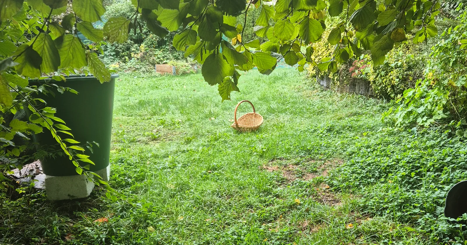 Eine Minute stehen bleiben: So liest du deinen Herbstgarten