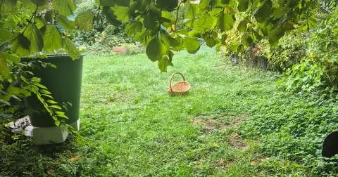 Eine Minute stehen bleiben: So liest du deinen Herbstgarten
