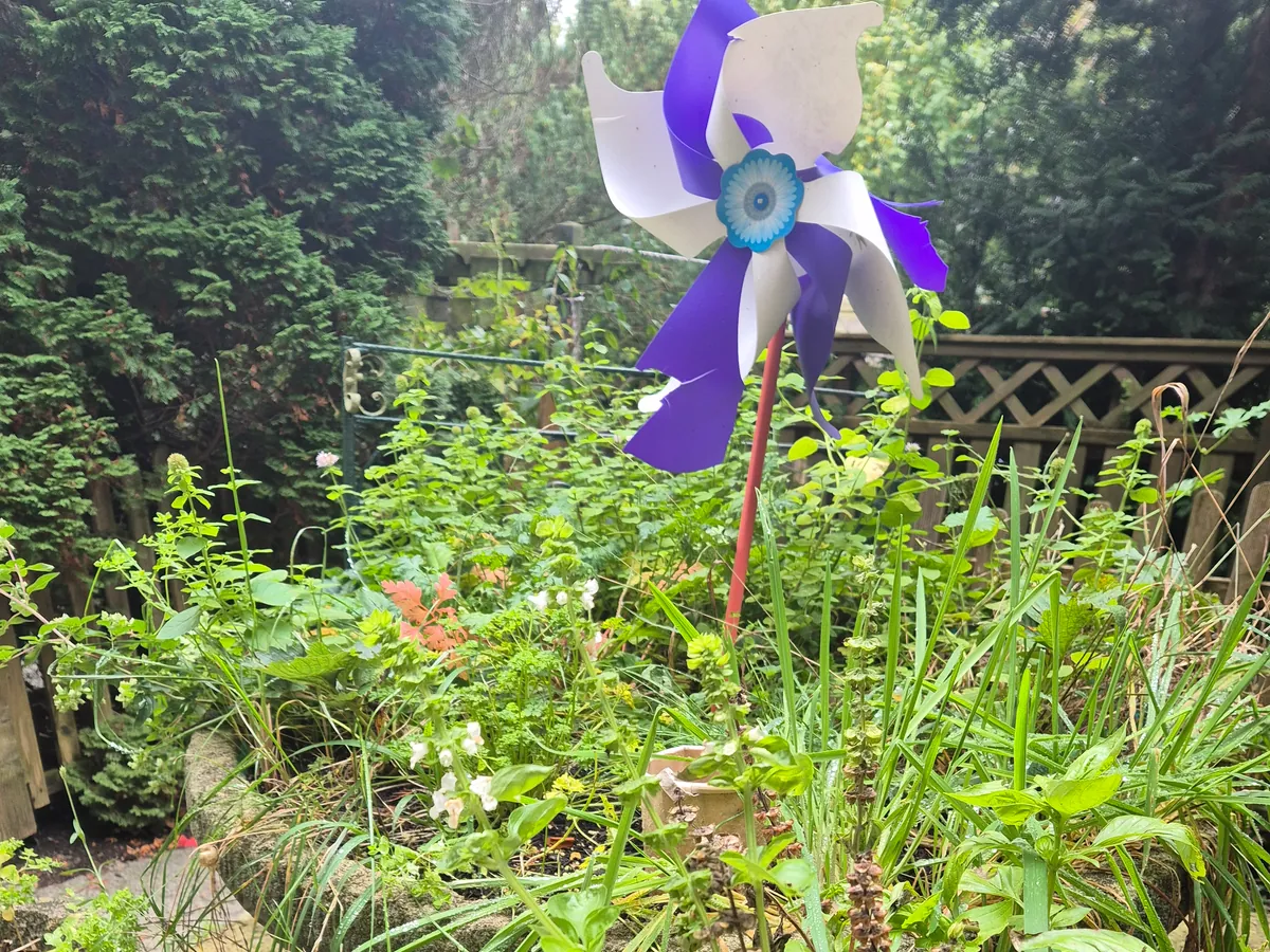 Violettweißes Windrad zwischen Kräutern und Pflanzgefäßen.